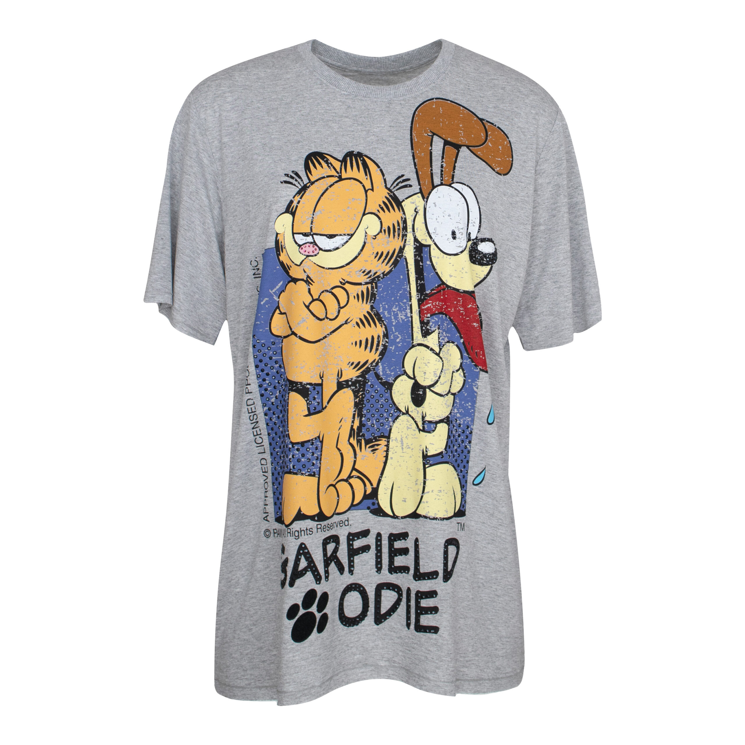 Frogbox • Grijs T-shirt Garfield Odie • 36